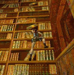 La bibliotheque